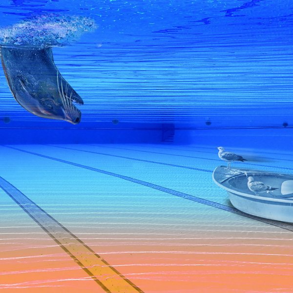 schwimmbad 01.jpg